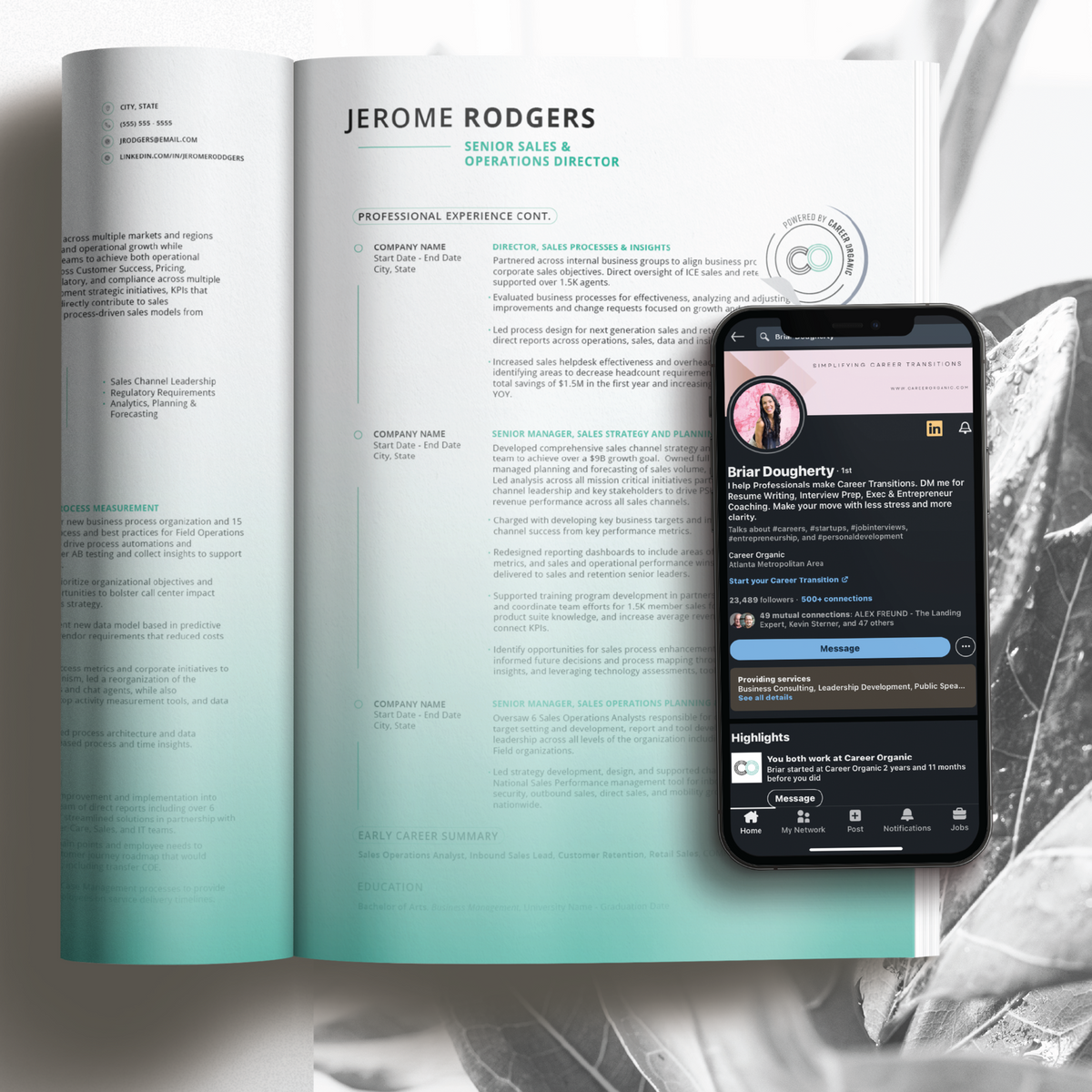 Director Resume Bundle