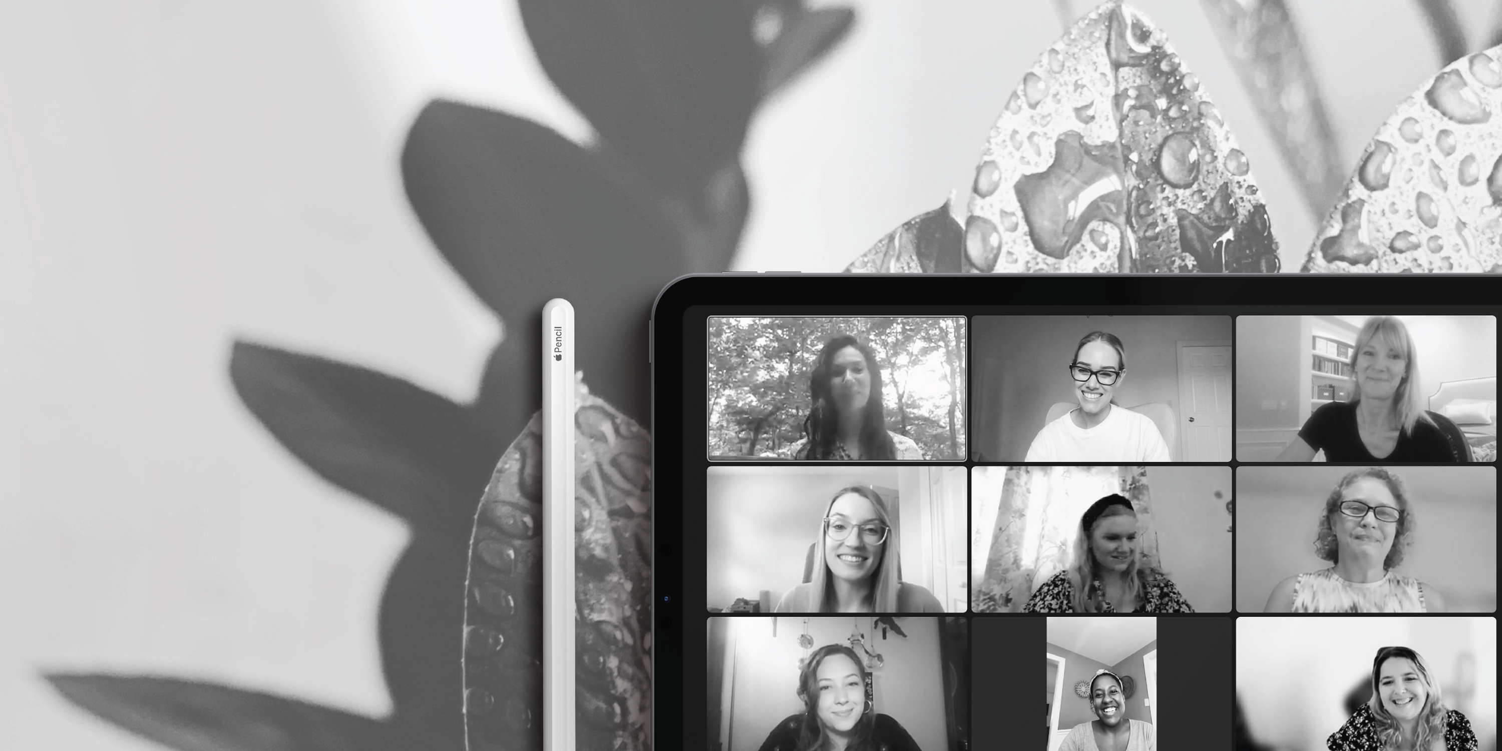 Career Organic team having a meeting- black & white