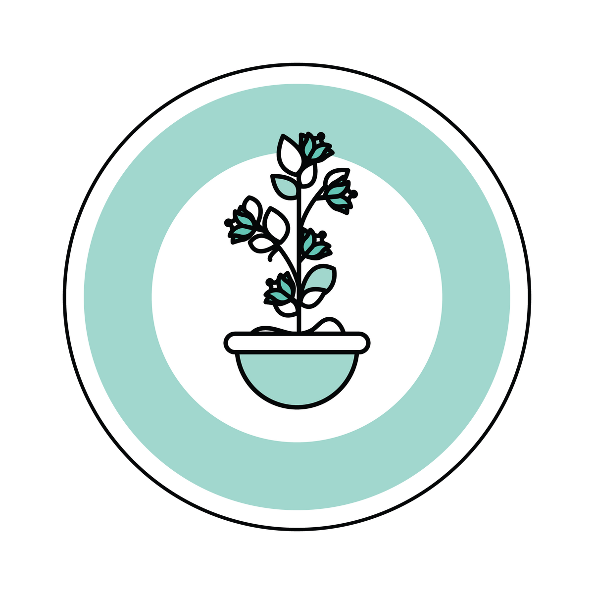 A mature plant with flowers, representing an executive career level.