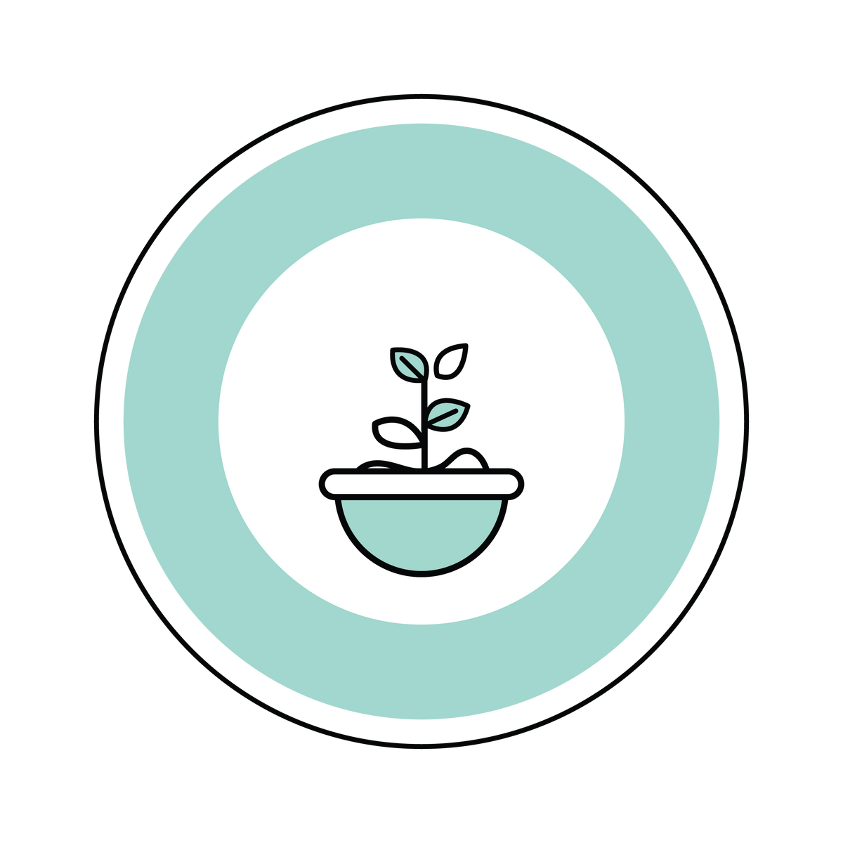 A more mature plant, representing a mid-level career.