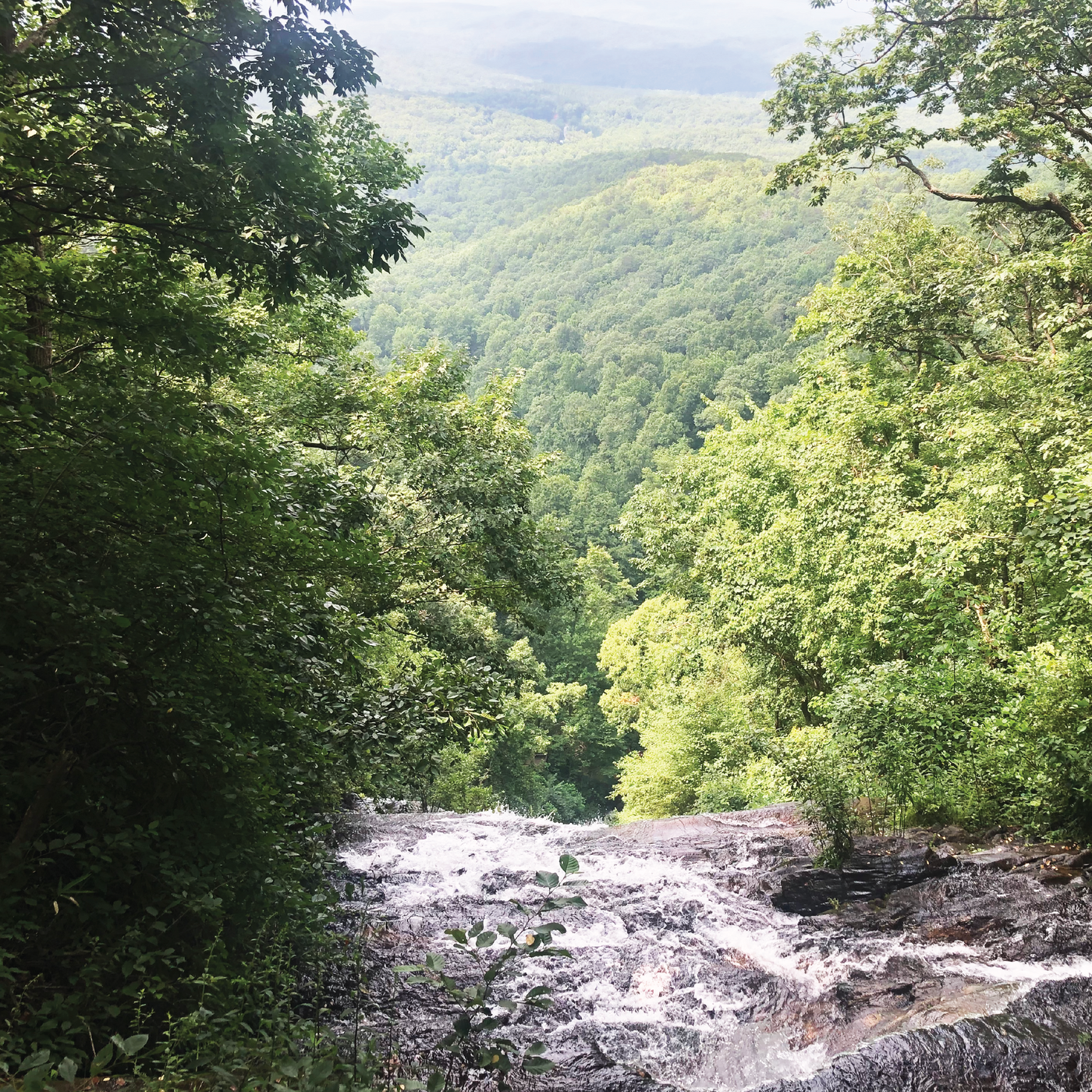 nature view of a waterfall and surrounding forest