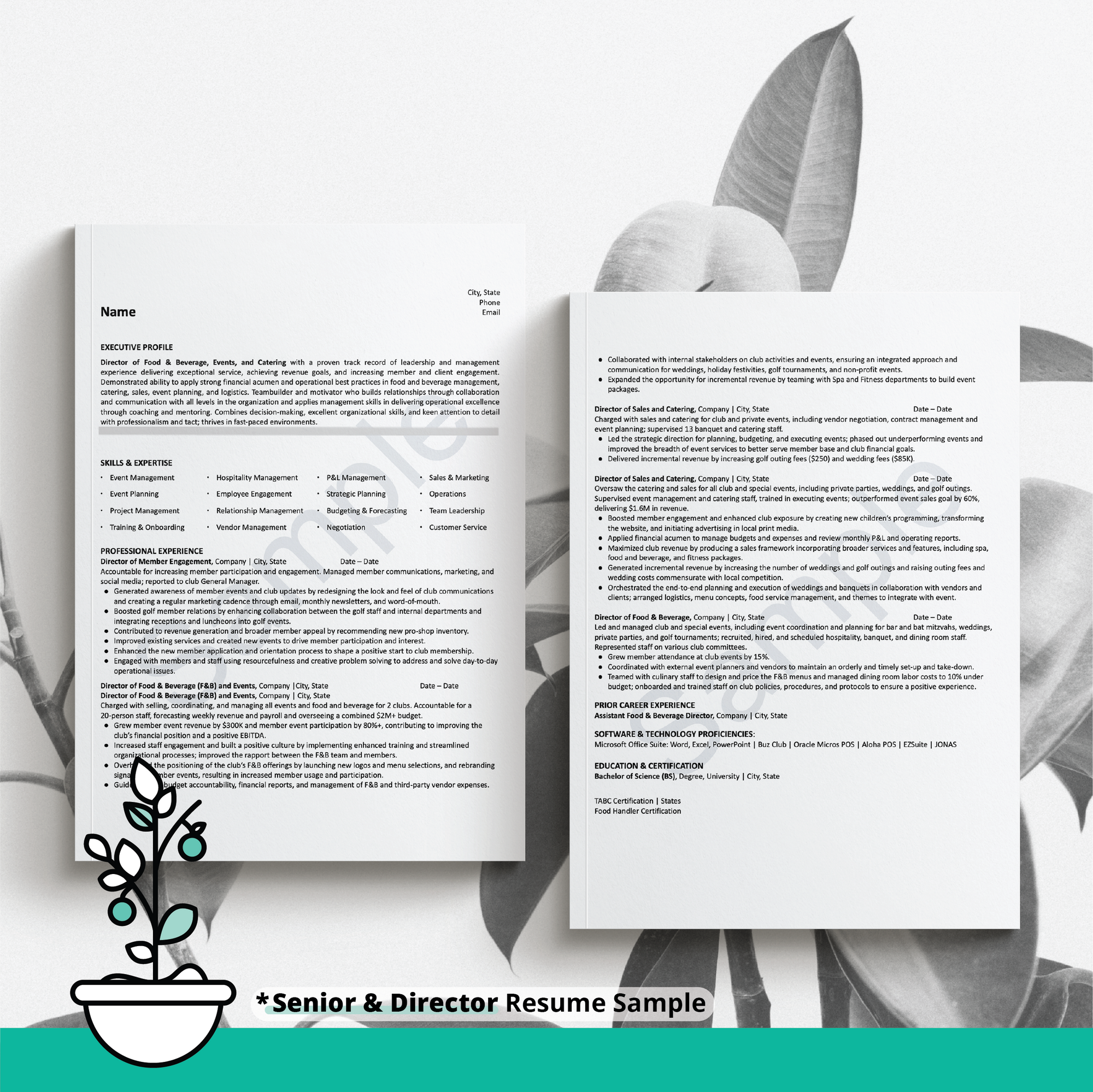 2 pages displaying a senior/director level resume on a black and white background with botanical and a teal border at the bottom