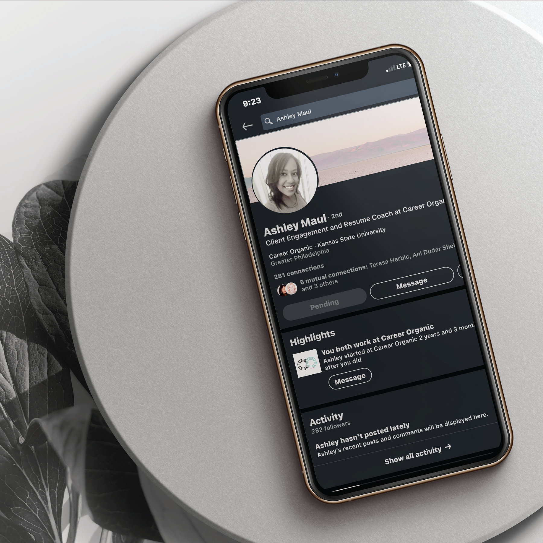 Director LinkedIn