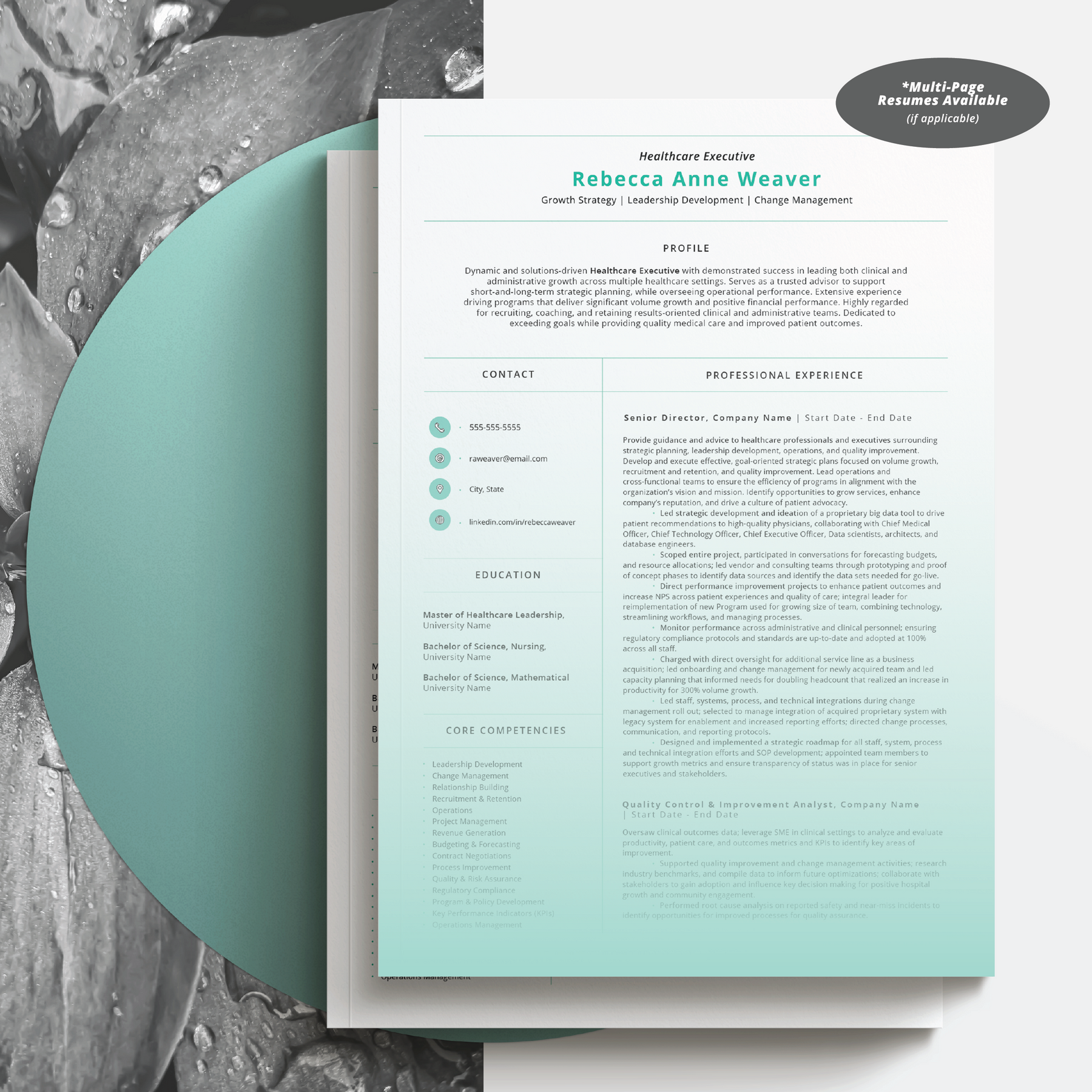 Senior or Director Resume