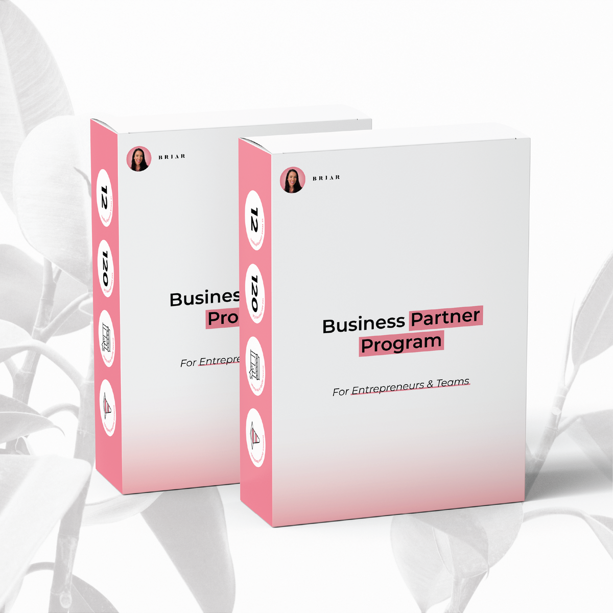 Business Partner Program