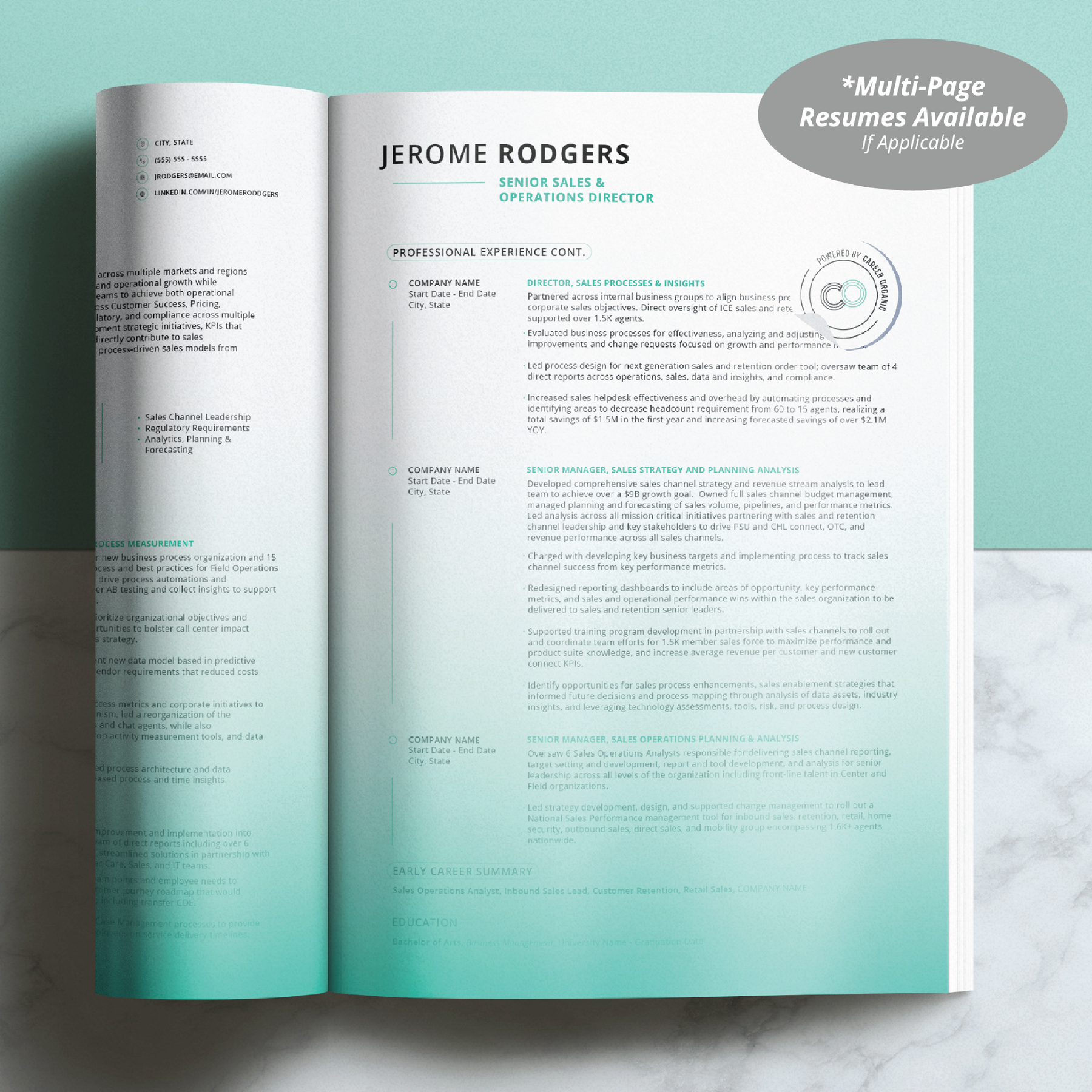 Executive Resume