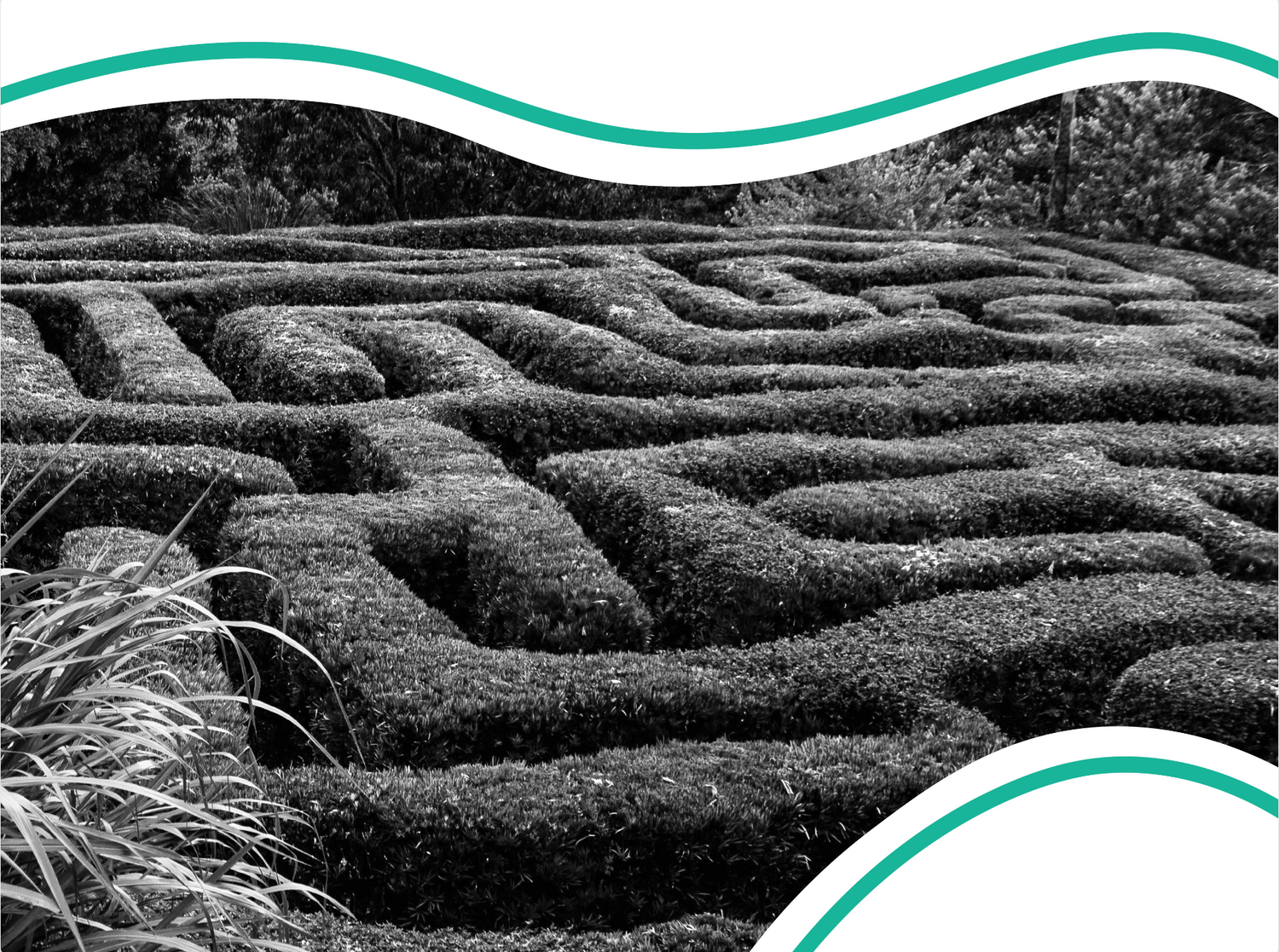Navigating the Maze of Toxic Work Environments: Recognizing and Exiting Unhealthy Workplaces
