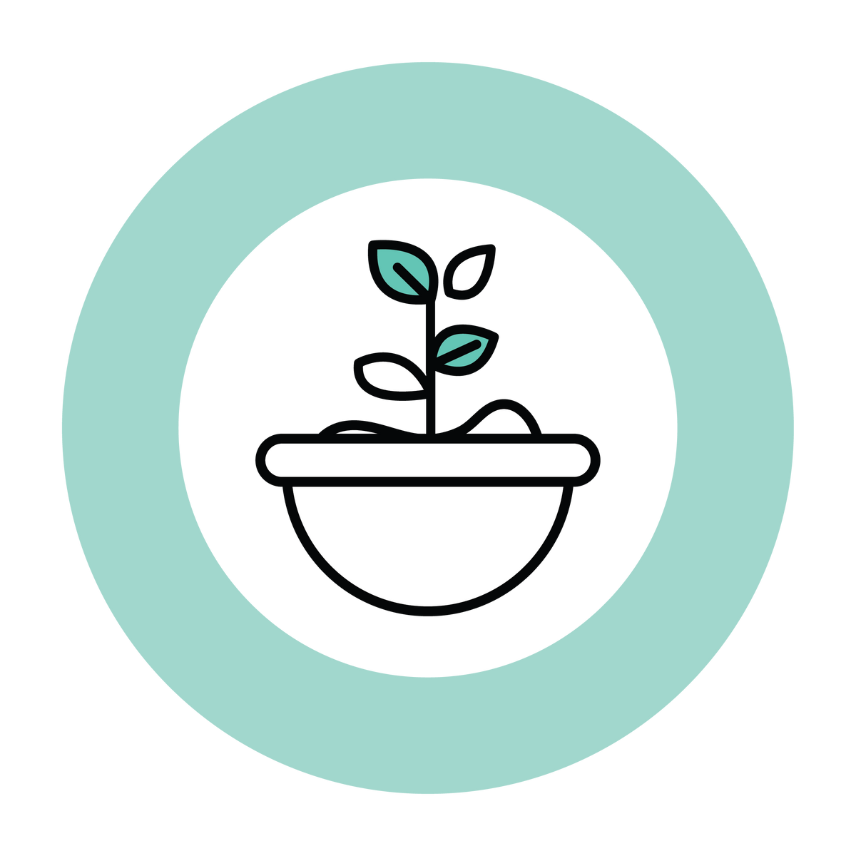 illustrated plant seedling growing in a pot surrounded by a teal circle