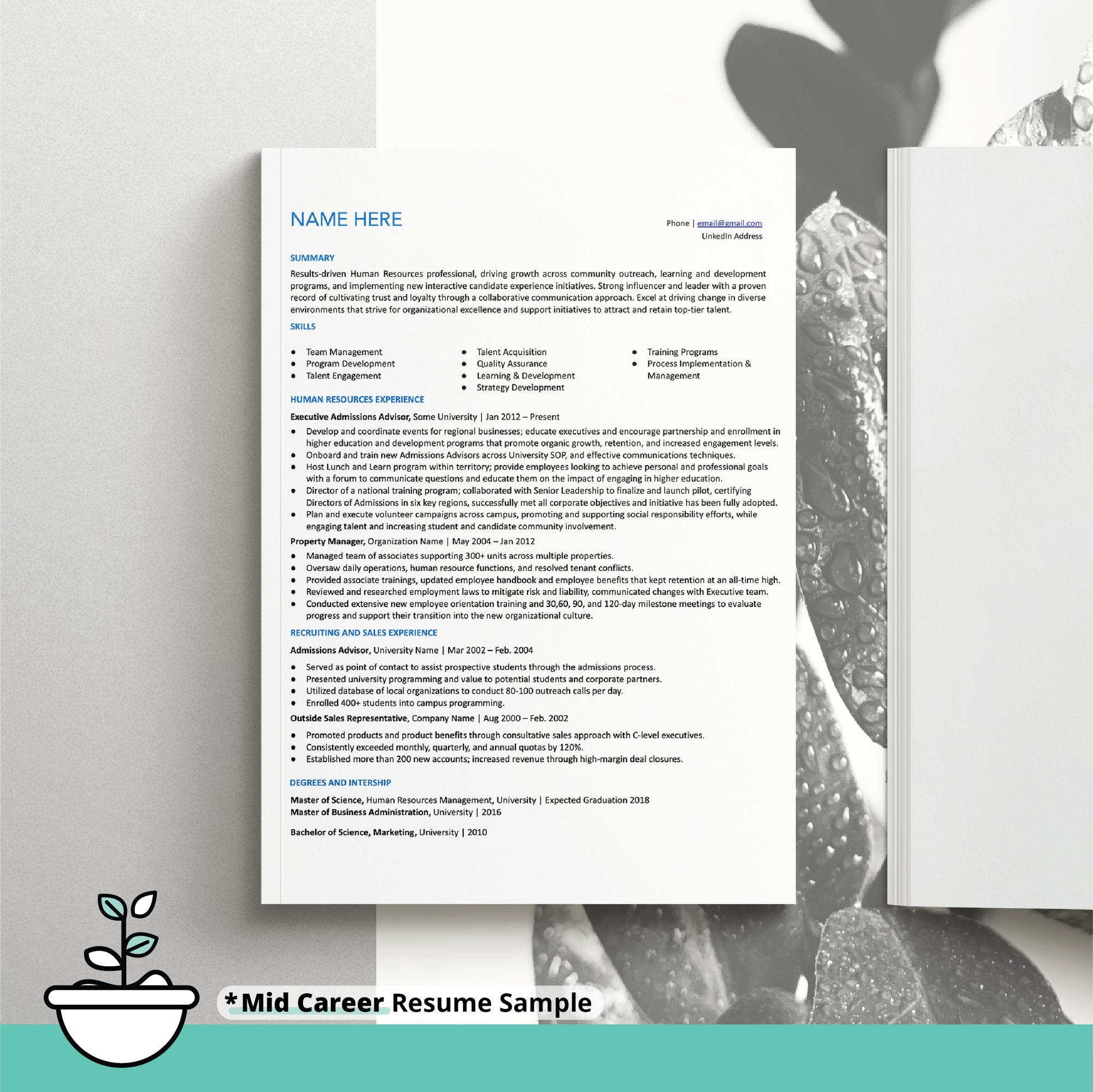 mid level resume on a black and white background with illustrated plant image on top