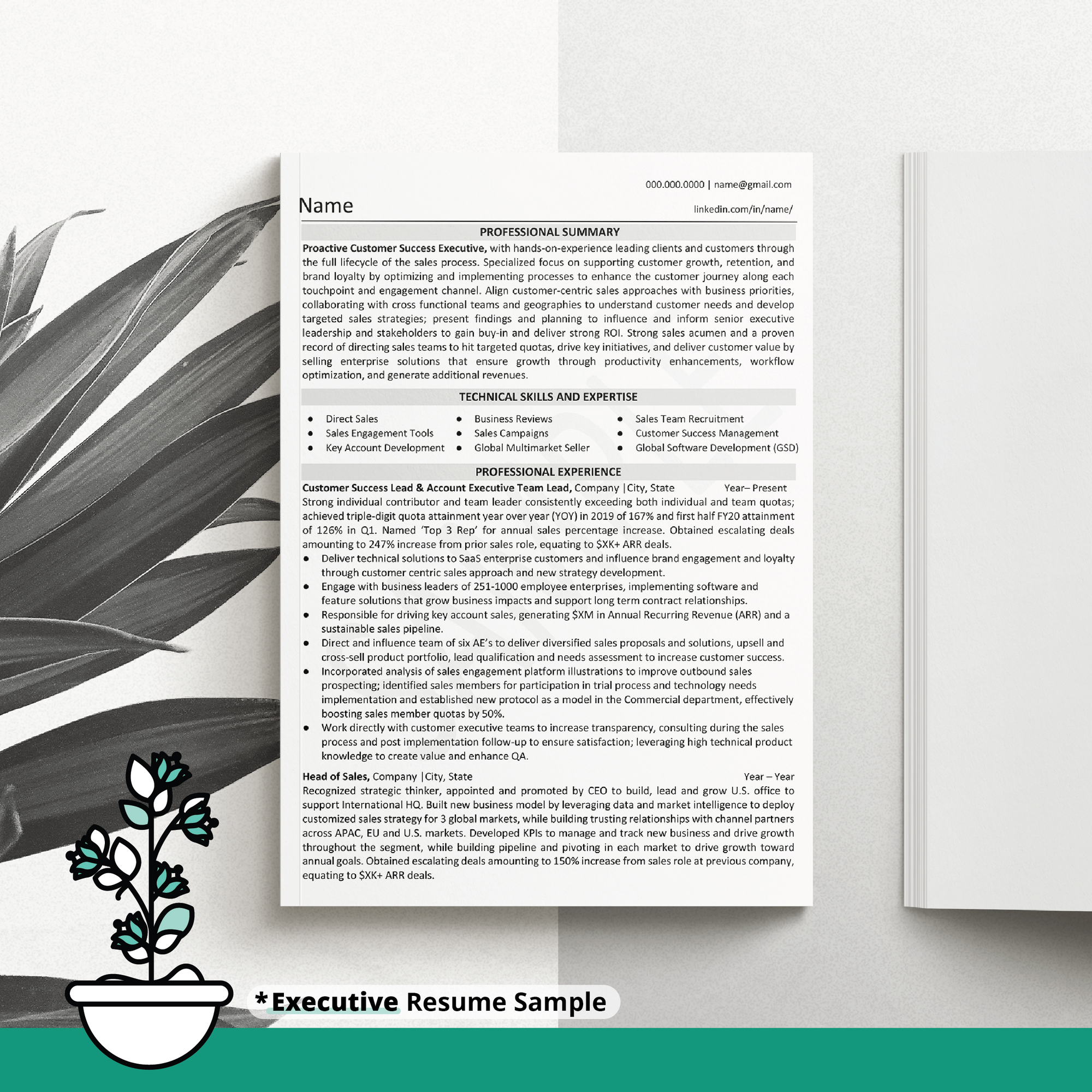 paper displaying an executive level resume, on a black and white background with plant and illustration of a blooming plant on top
