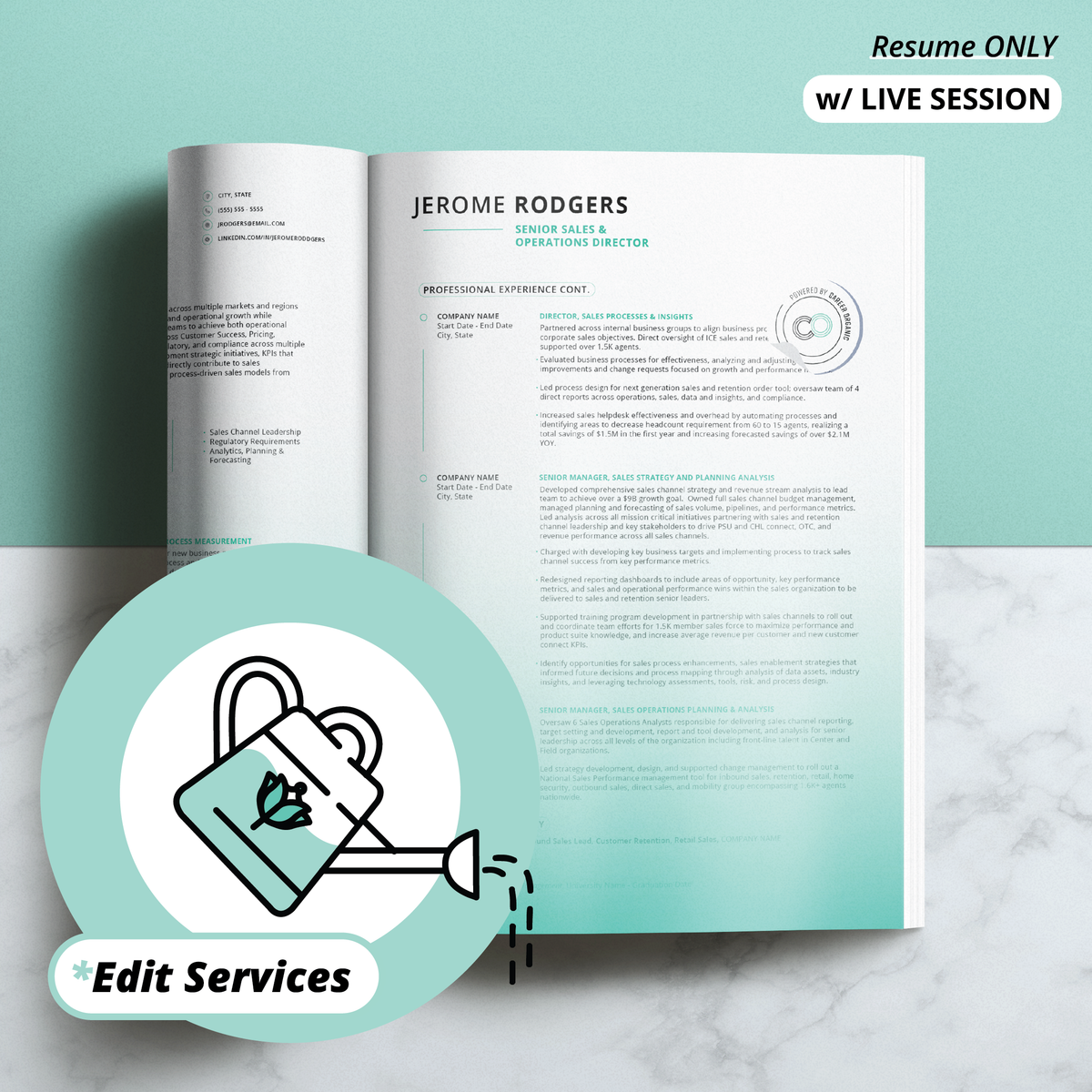 Resume Edit Service